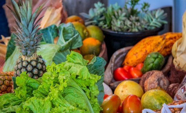 Governo de Rondnia lana Edital do Programa Estadual de Aquisio Alimentar e fortalece agricultura familiar