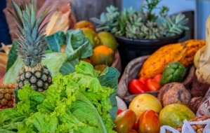 Governo de Rondnia lana Edital do Programa Estadual de Aquisio Alimentar e fortalece agricultura familiar